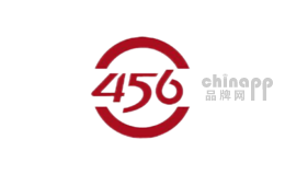456天斯品牌标识