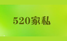 520家私品牌标识