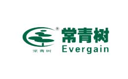 常青树品牌标识