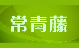 常青藤品牌标识