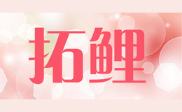 拓鲤品牌标识