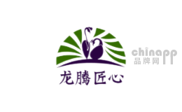 龙腾匠心品牌标识