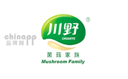 川野品牌标识