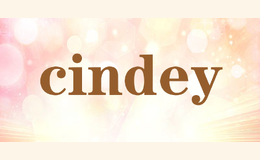 cindey品牌标识