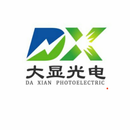 大显光电品牌标识