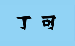 丁可品牌标识