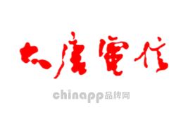 大唐电信品牌标识