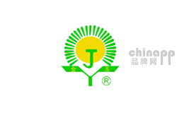 奥菲克斯品牌标识